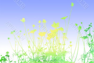 flower textures