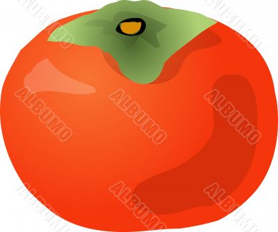 Persimmon