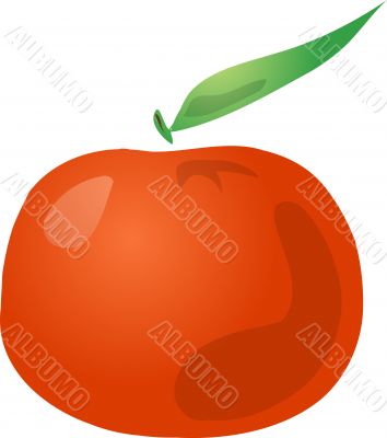 Tangerine