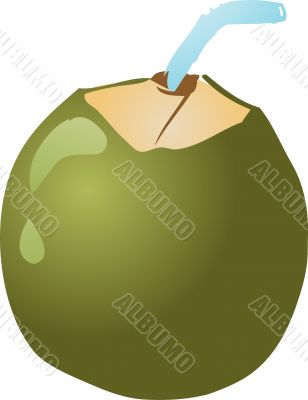 Young coconut
