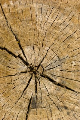 Old Wooden texture