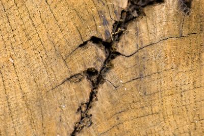 Old wooden tecture