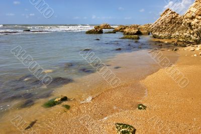 Rocks at coast