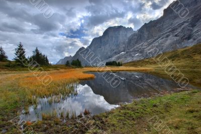 The bog is high in mountains