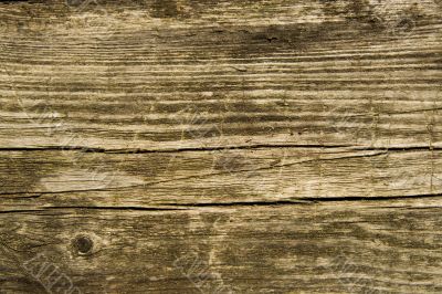 Texture from an old board