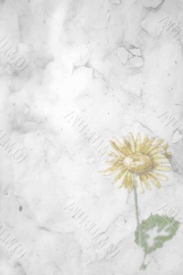 Victorian Floral Paper