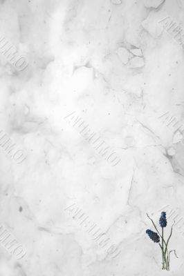 Victorian Floral Paper