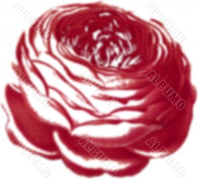 airbrushed rose