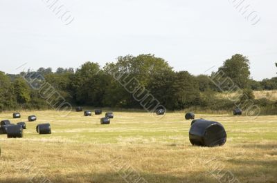 Hay Bales