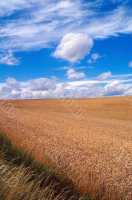 Campagna francese 2
