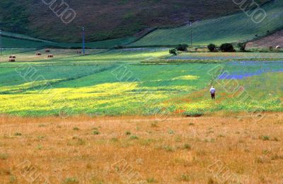 Castelluccio 10