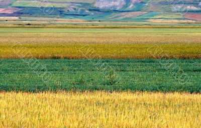 Castelluccio 12