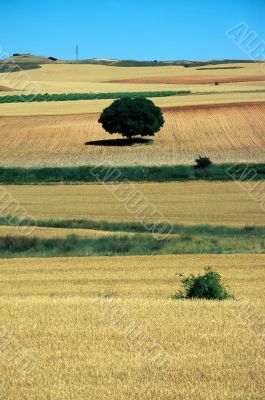 Castilla