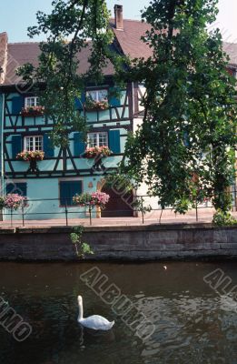 Colmar 5