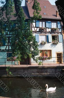Colmar 8