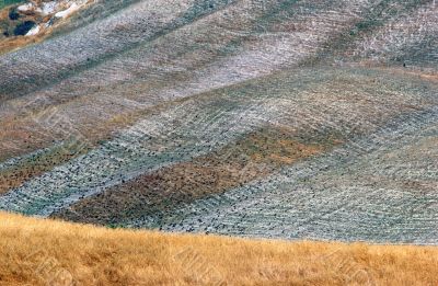 Crete senesi 12