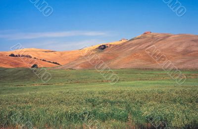 Crete senesi 13
