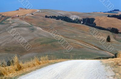 Crete senesi 14