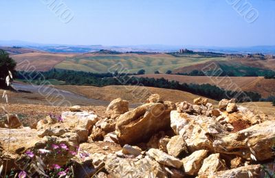 Crete senesi 3