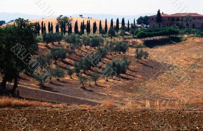 Crete senesi 4