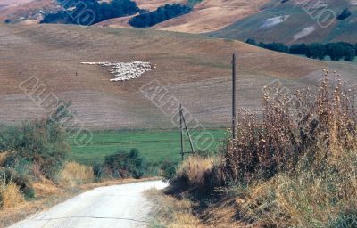 Crete senesi 7