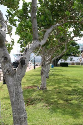 Coastal Park