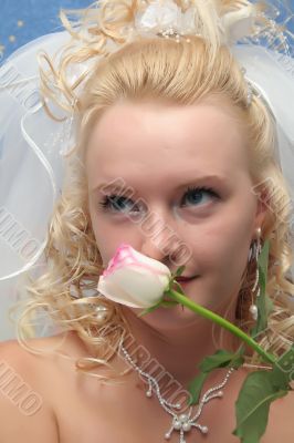 the bride and rose