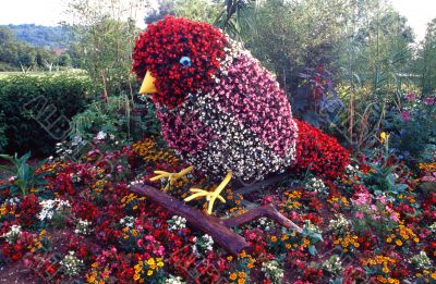 Uccello di fiori