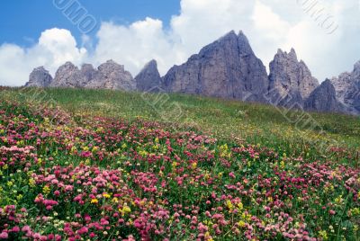 Passo Gardena 2