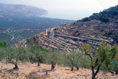 Gargano