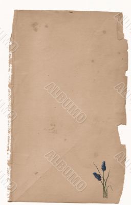 Antique Floral paper