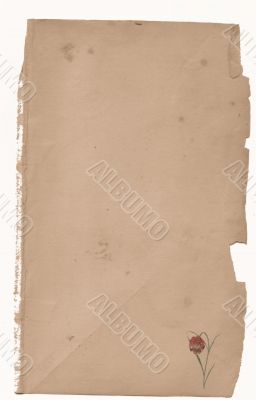 Antique Floral paper