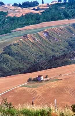 Marche