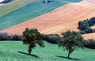 Marche 3