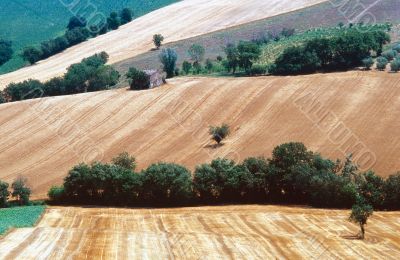 Marche 4