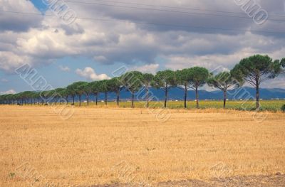 Maremma grossetana 2