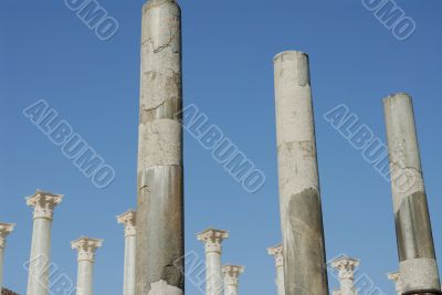 ancient and new columns