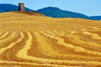 Val d Orcia 10