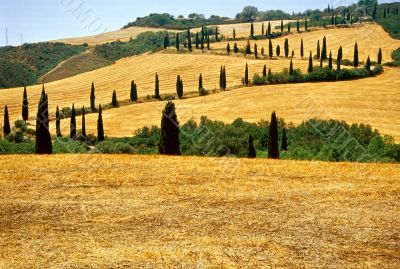 Val d Orcia 12