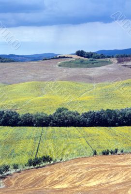Val d`Orcia 13