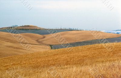 Val d`Orcia