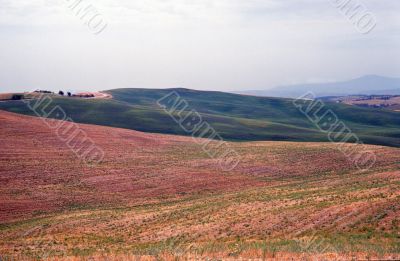 Val d`Orcia 4