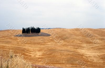 Val d`Orcia 5