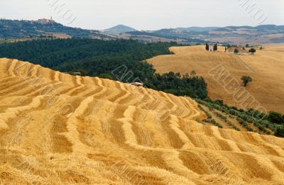 Val d`Orcia 6