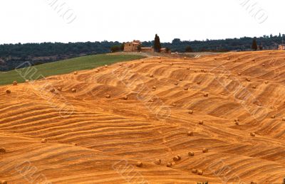 Val d`Orcia 8