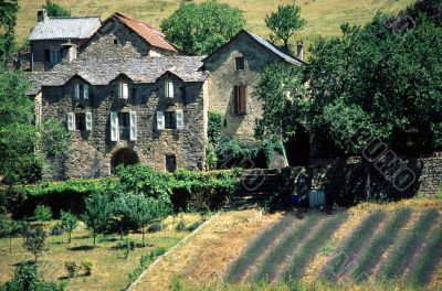 Gorges du Tarn