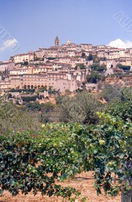 Trevi