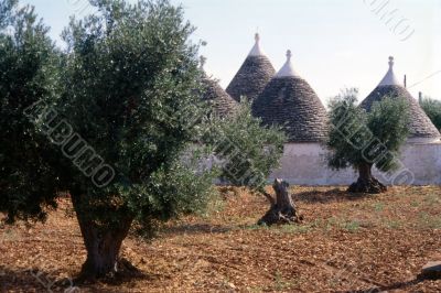 Trulli 4