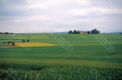 Verso Albi 3