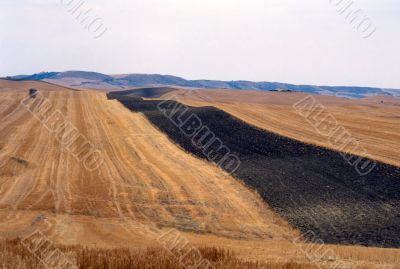 Verso Altamura 2
